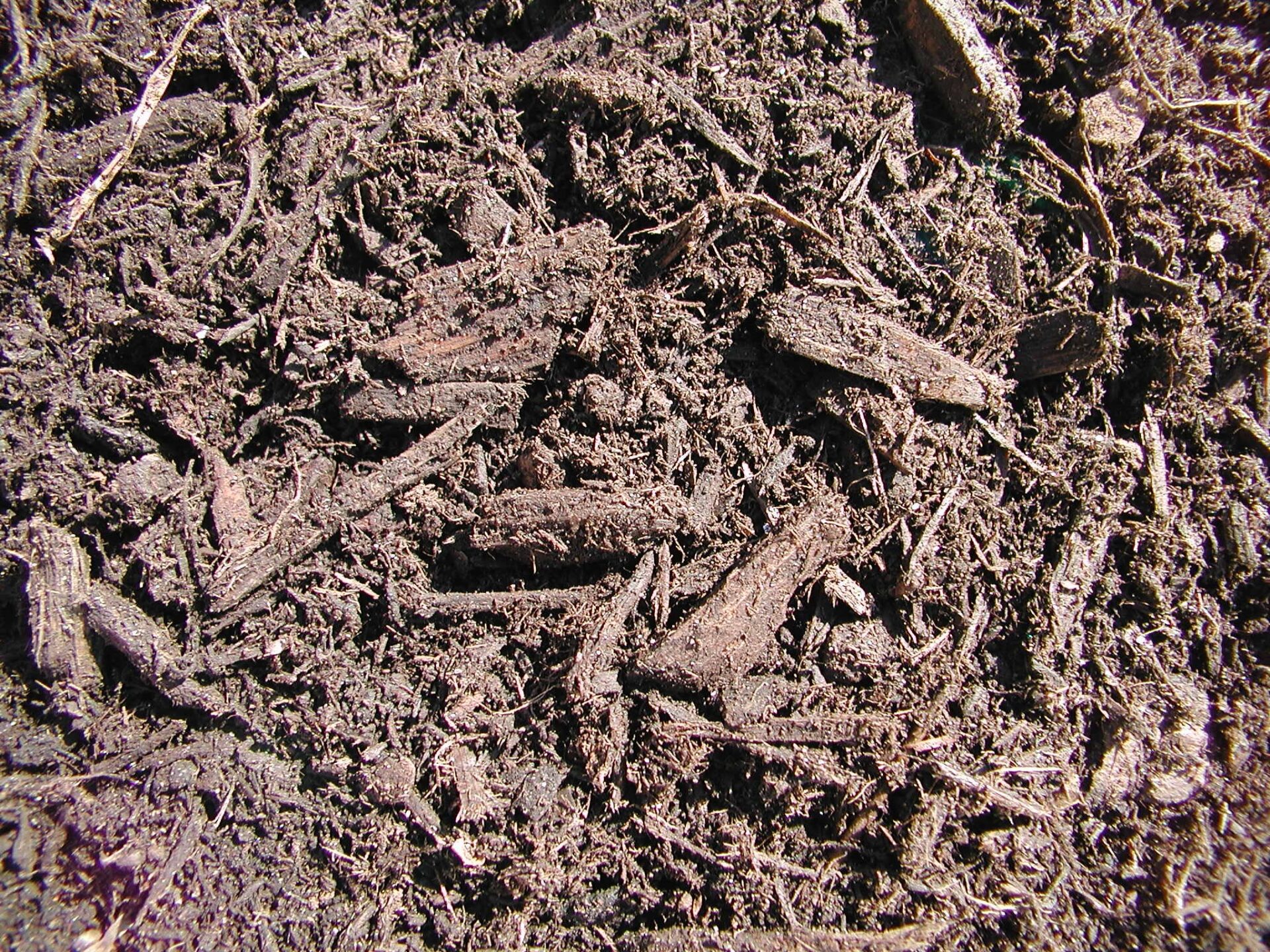 Close-up of dark brown mulch with small wood pieces and organic material, providing a textured, earthy appearance. No landmarks or buildings present.