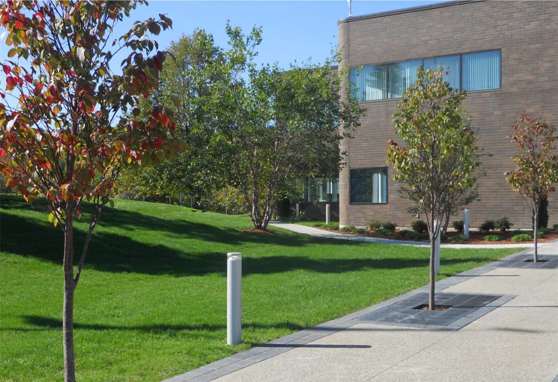 Modern brick building with large windows, surrounded by a lush green lawn and trees, with a paved walkway in a quiet setting.