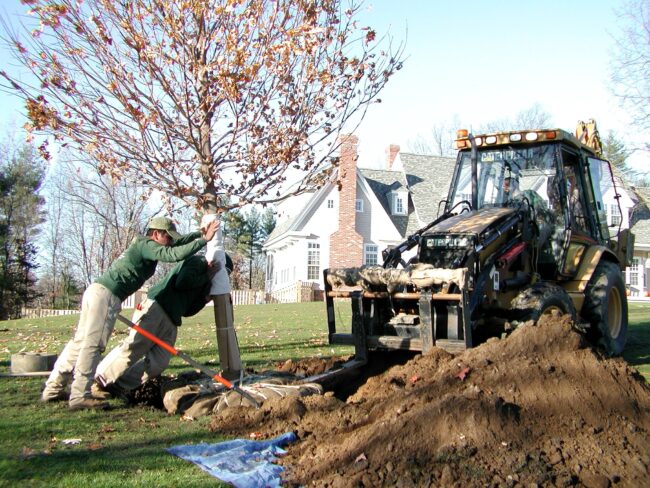 Two people are planting a tree using a backhoe in a suburban yard. A house with a red chimney is in the background.