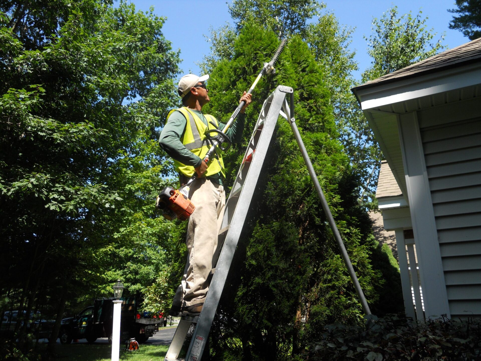 A person on a ladder trims tall hedges. They're equipped with gardening tools in a residential garden setting under clear skies.