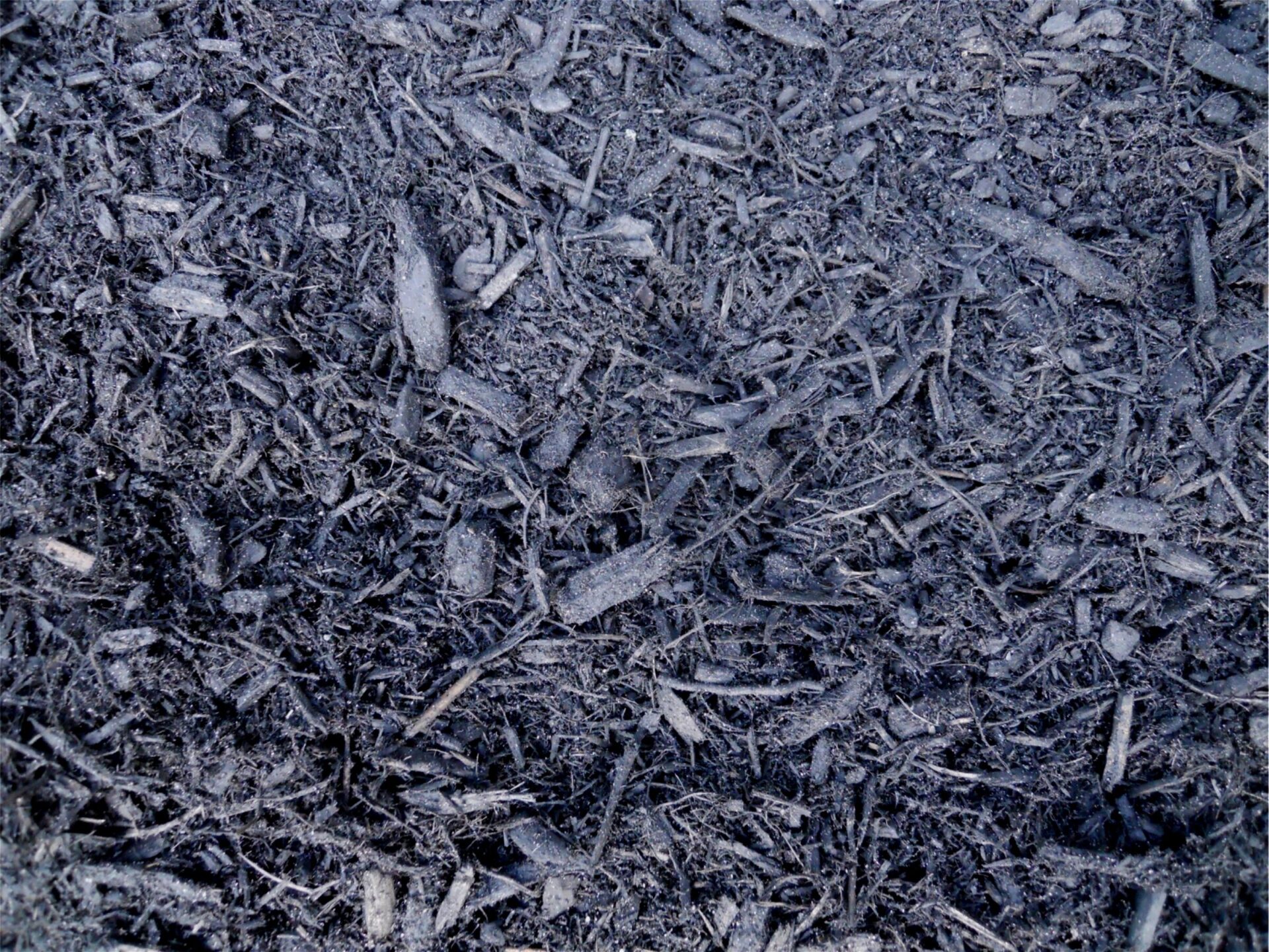 A close-up of dark, textured ground covered in small wood chips and bits of organic material, creating a dense, natural pattern.