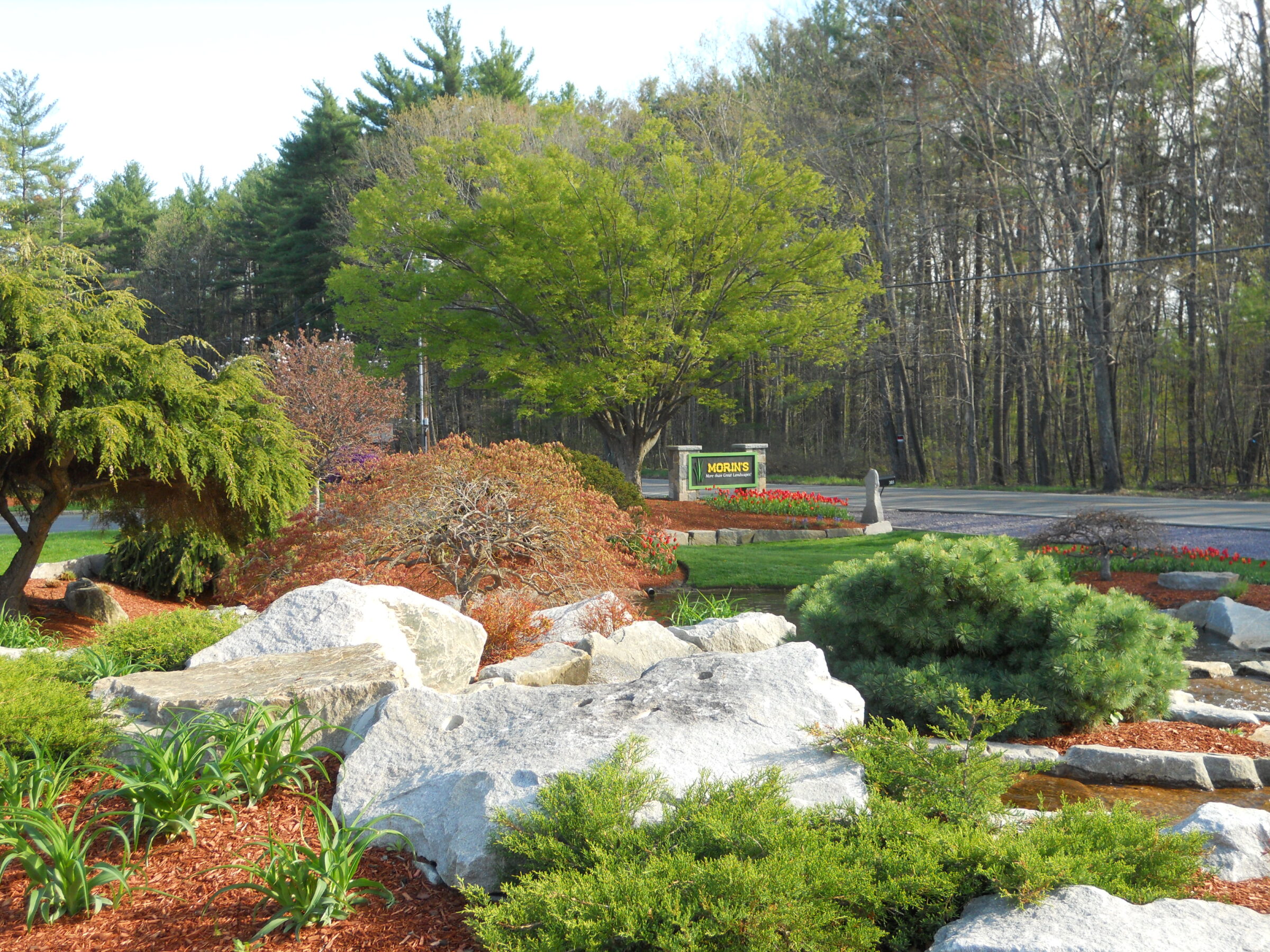 Lush garden with diverse plants and rocks near a wooded area. A sign in the background reads “Andres Institute of Art.”