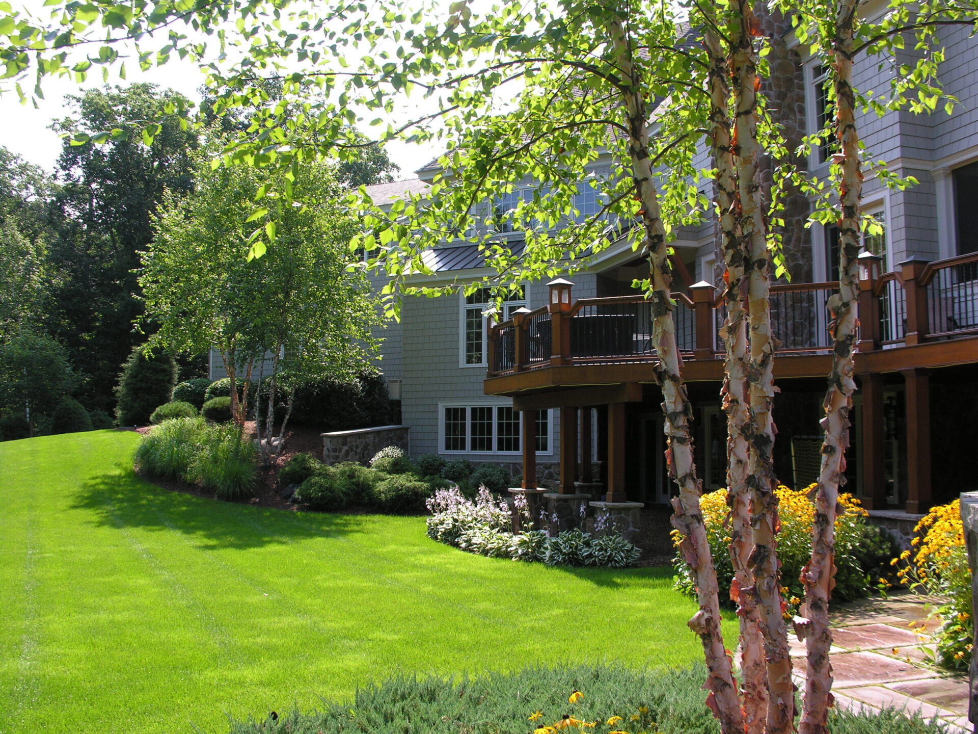 A lush garden with vibrant greenery surrounds a large house, featuring a wooden deck. Birch trees and manicured lawns enhance the serene setting.