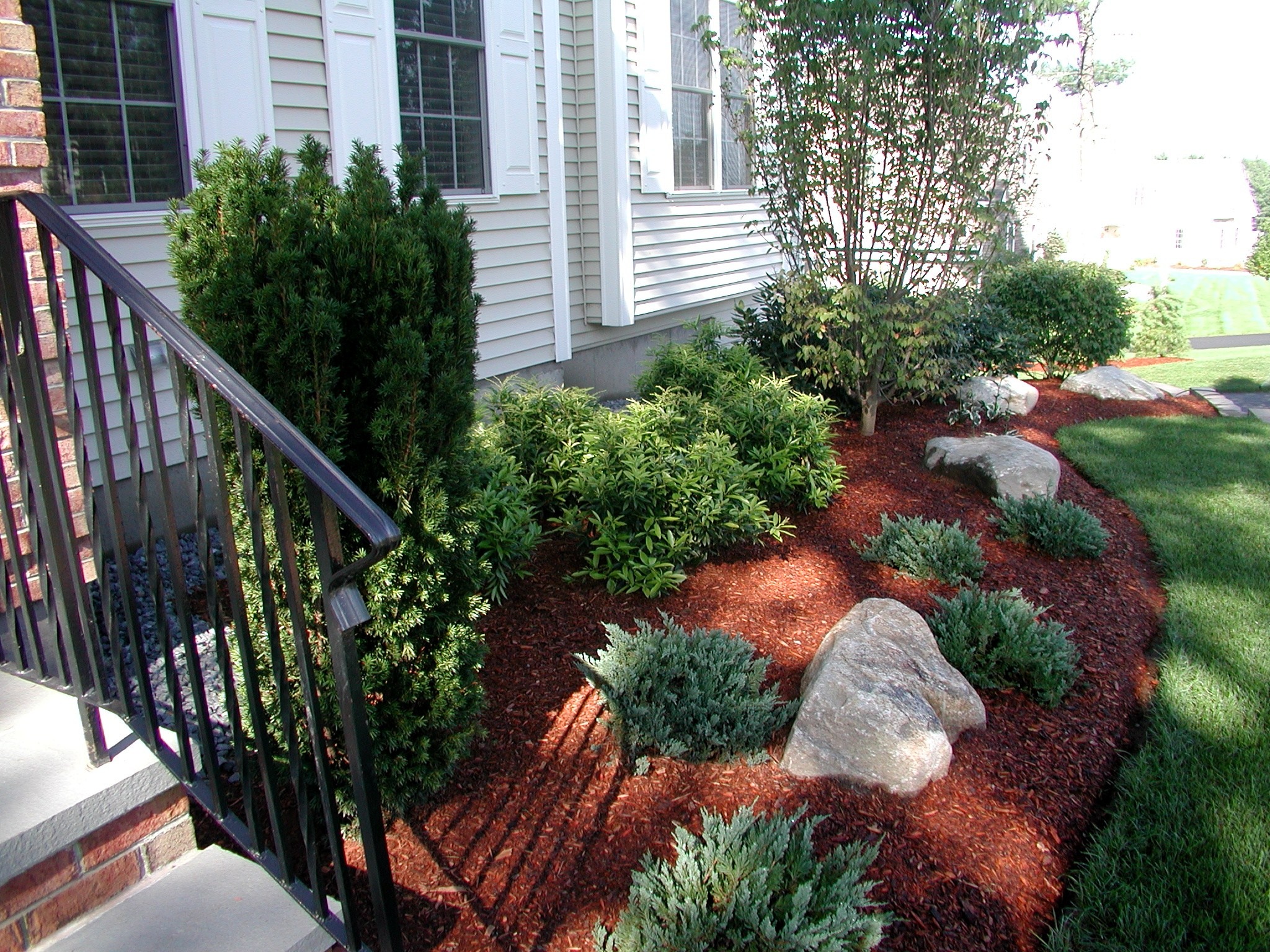 Neatly landscaped garden with shrubs, mulch, and rocks beside a house. Black railing leads to entrance. Bright daylight enhances greenery.