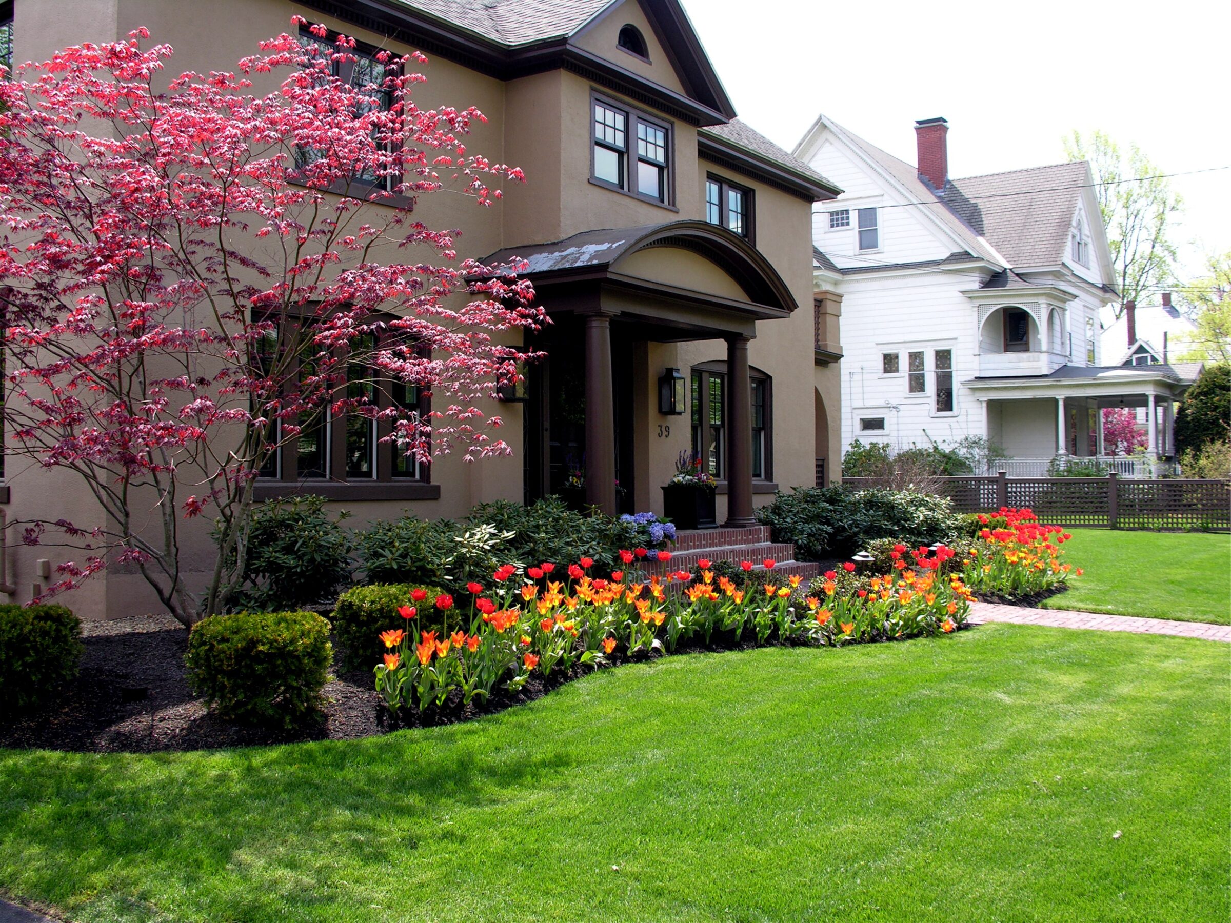 A well-maintained suburban house with blooming tulips and a flowering tree in the front yard, alongside a neighboring house and green lawn.
