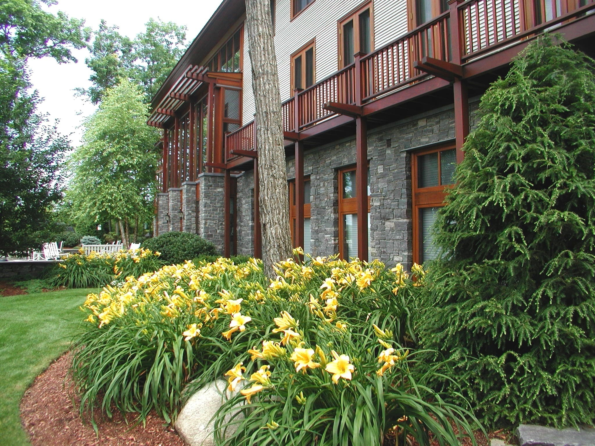 A charming stone building with wooden balconies is surrounded by vibrant yellow daylilies and lush greenery, creating a serene garden atmosphere.