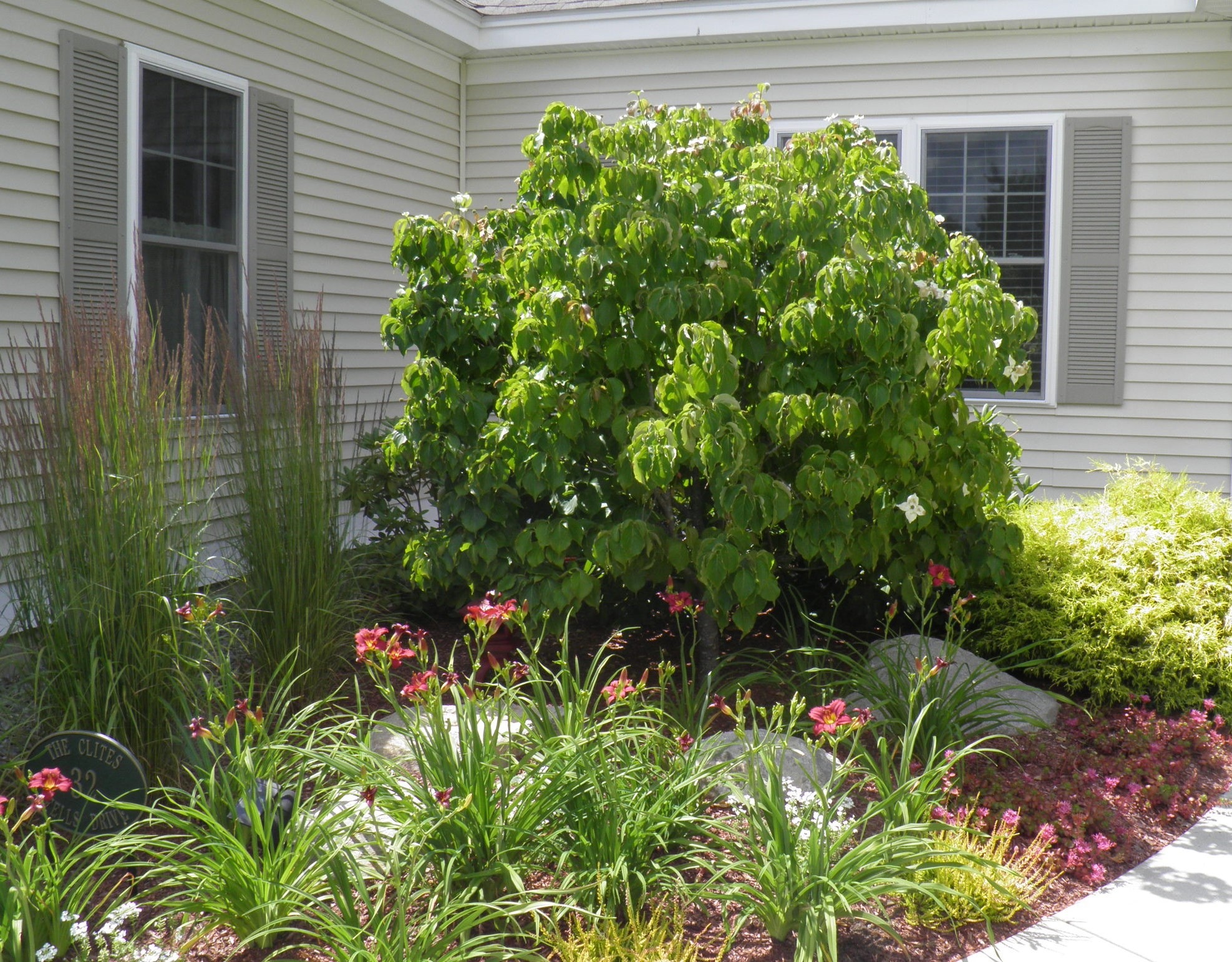 A lush garden with vibrant flowers and bushes is nestled against a beige, vinyl-sided building with two windows and shutters.
