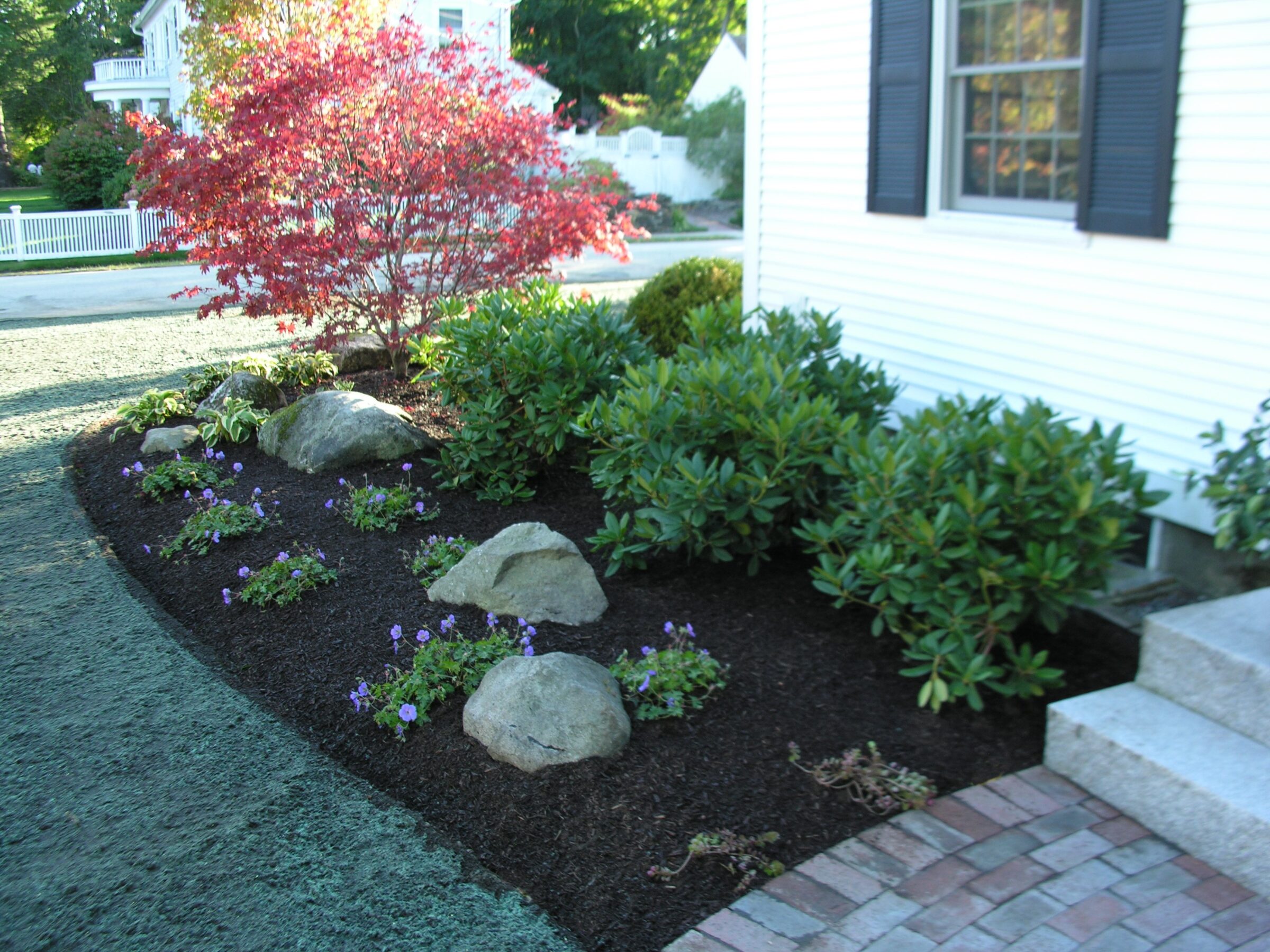 A neatly landscaped garden with rocks, green shrubs, and a red tree next to a white house and brick path.
