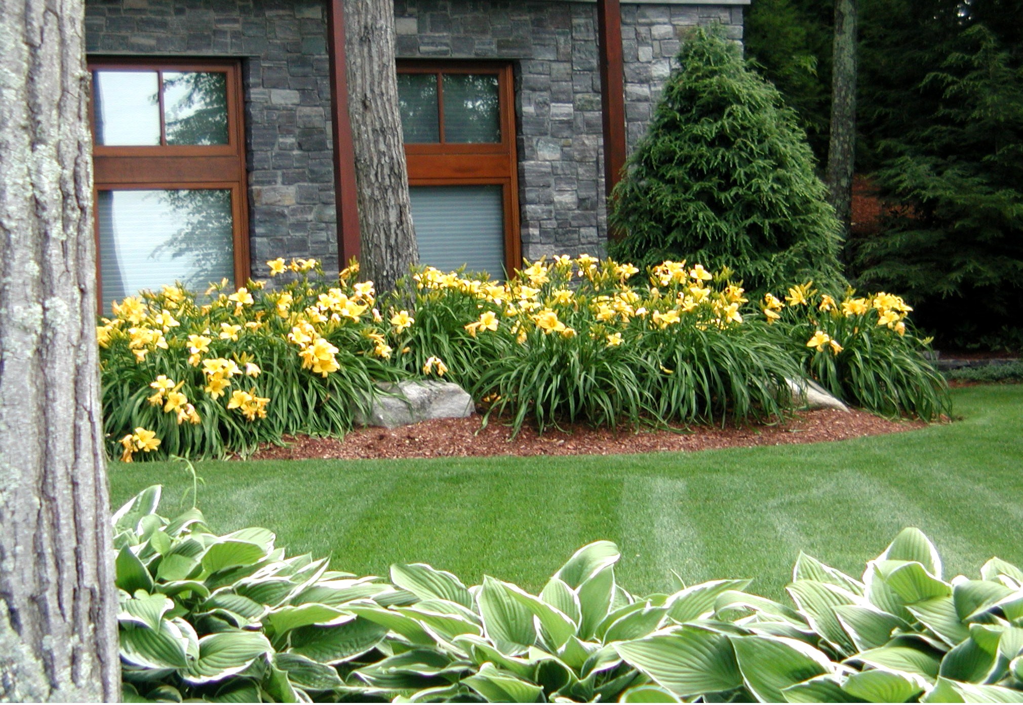 A well-maintained garden with yellow flowers and lush greenery is in front of a stone building. No people or landmarks are visible.