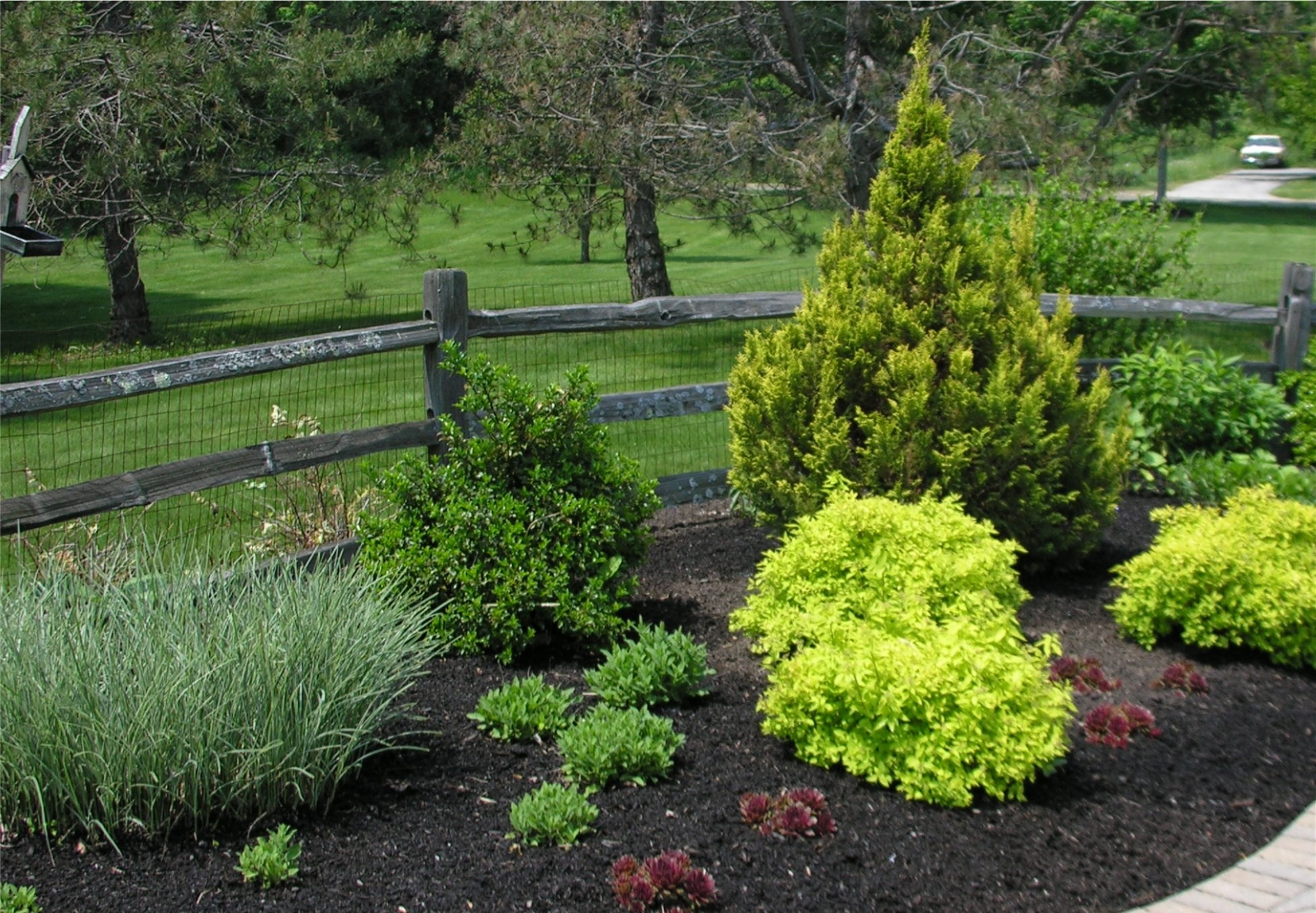 A lush garden features various green shrubs and small trees, bordered by a rustic wooden fence, set against a verdant, grassy backdrop.