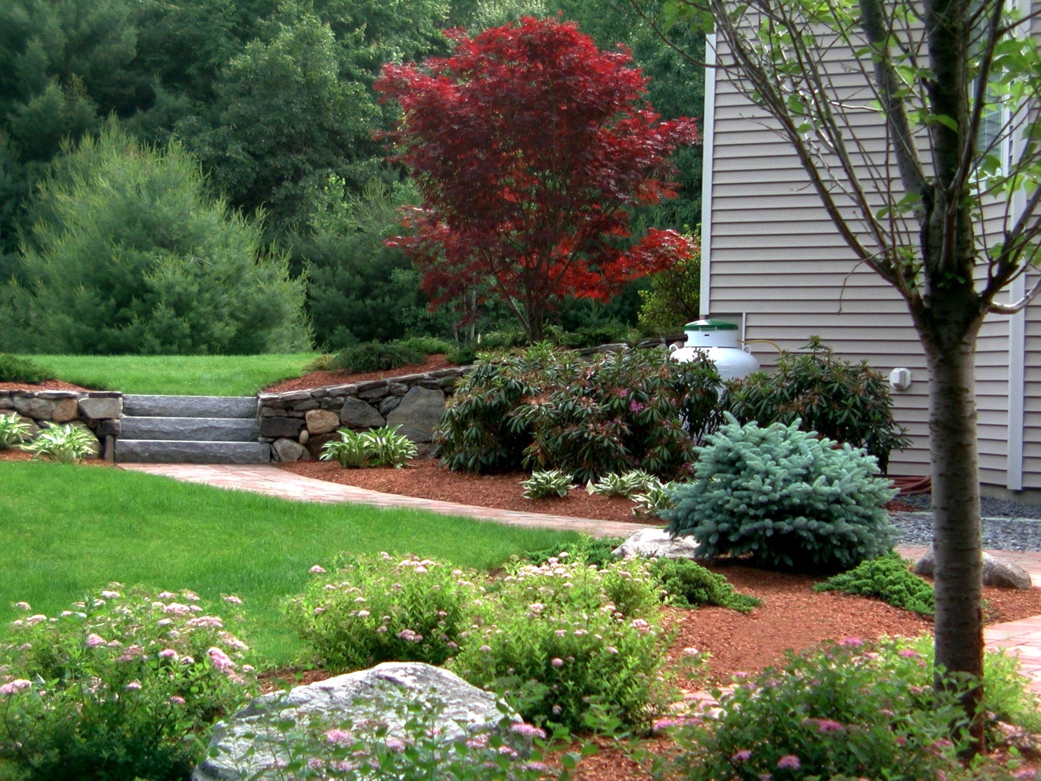 A lush garden with vibrant greenery and red trees surrounds a house's corner, featuring stone steps and a neatly maintained lawn.