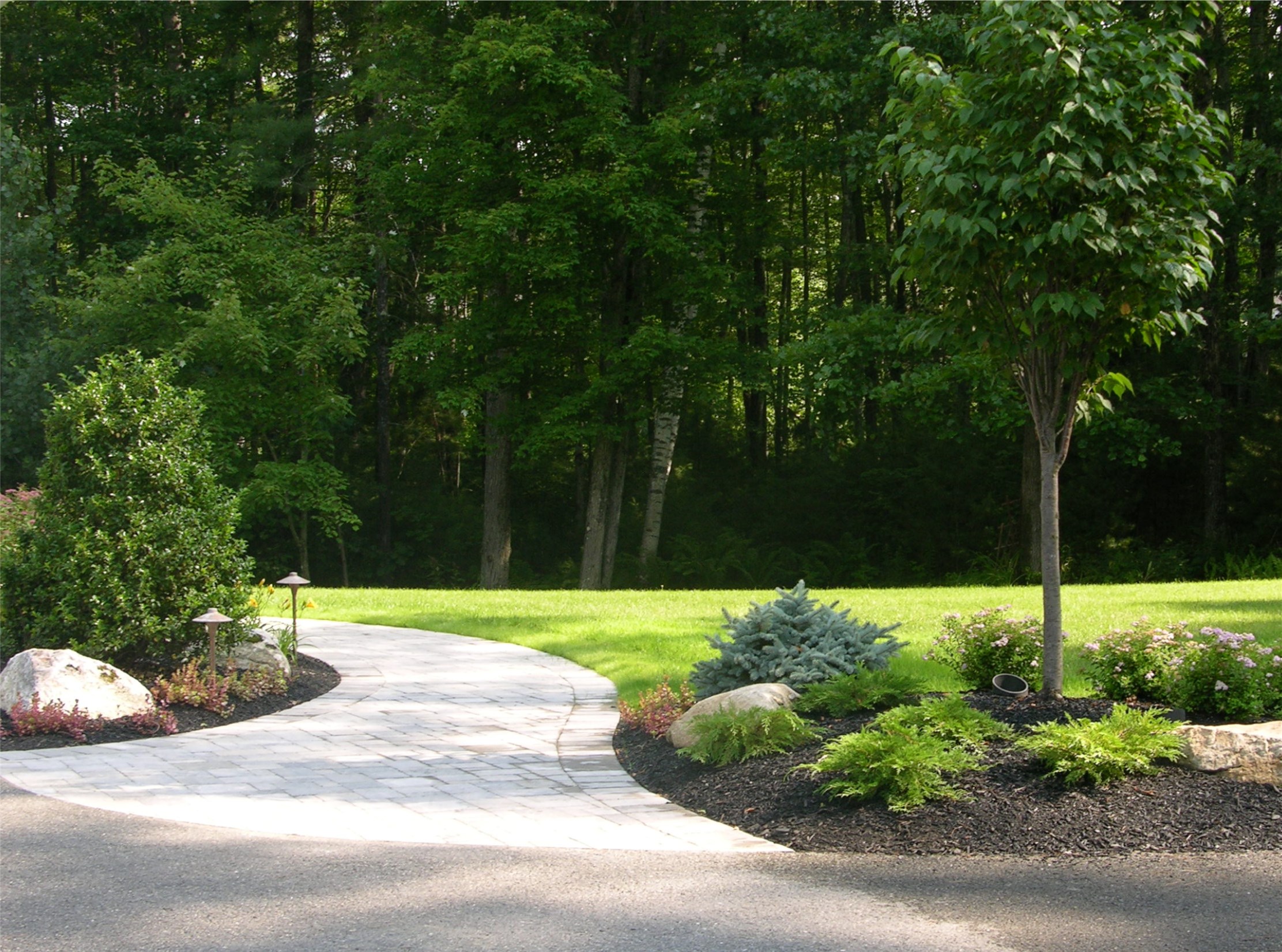 A winding stone path through a landscaped garden with rocks, shrubs, and trees, bordered by a lush green forest in the background.