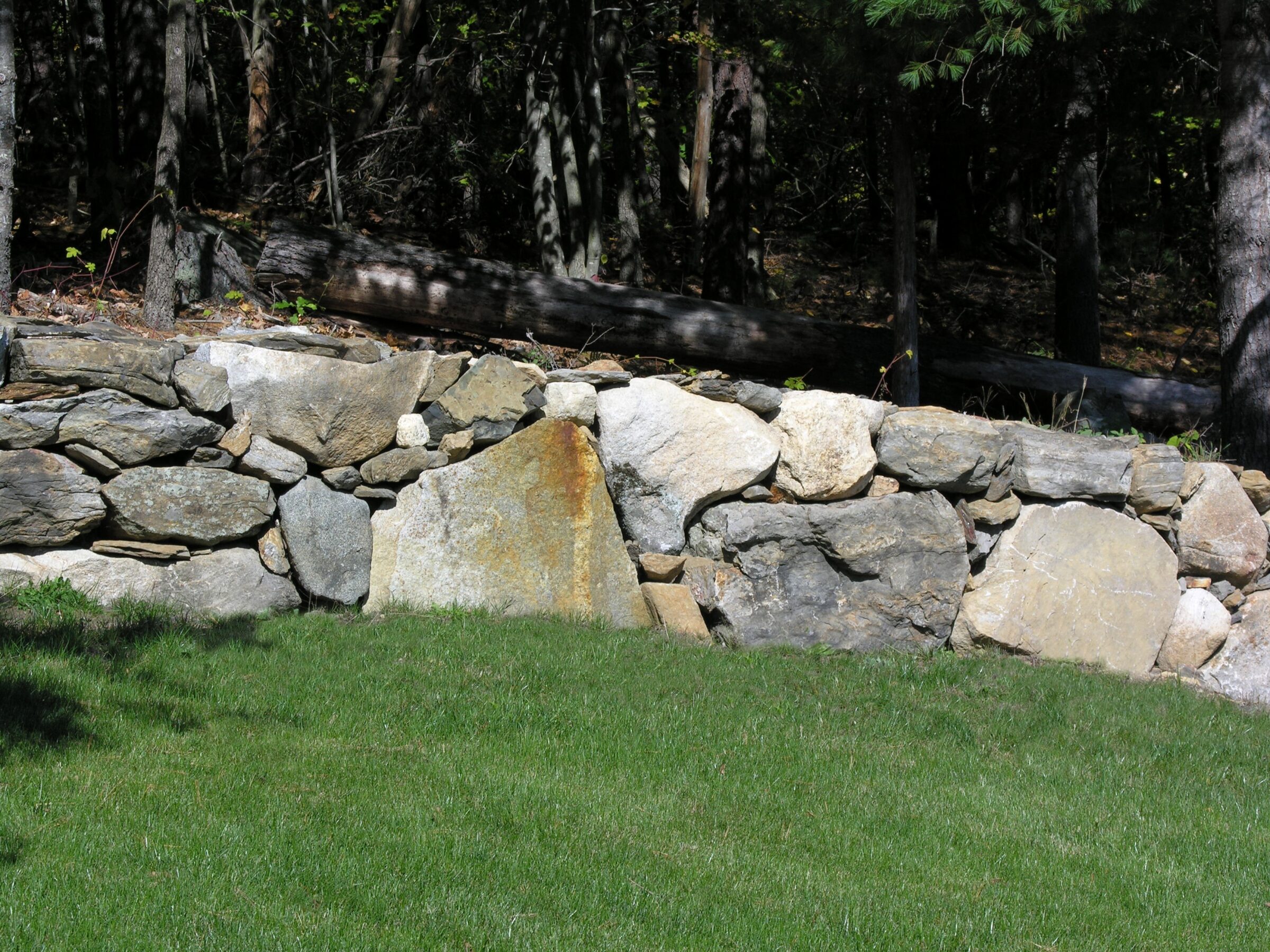 A rustic stone wall borders a lush green lawn, with a backdrop of dense, shadowy forest under natural light.
