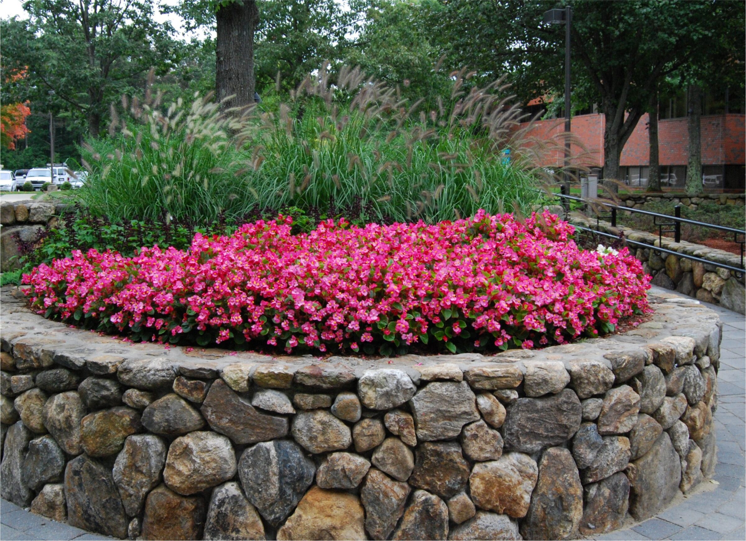 A circular stone planter filled with vibrant pink flowers and grasses, surrounded by trees and a paved path in a park setting.