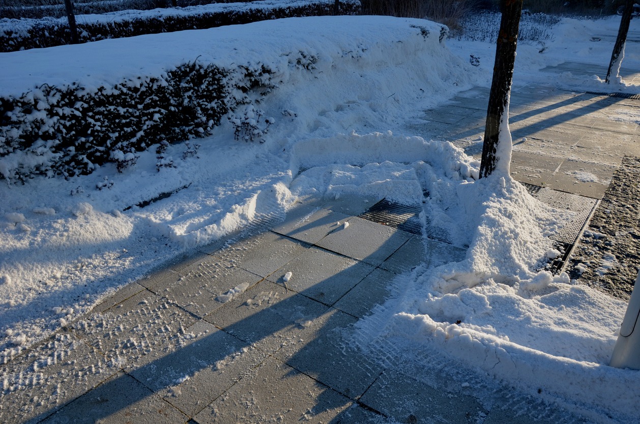 Snow-covered sidewalk with shoveled paths, flanked by trees and hedges. Long shadows stretch across the path under a clear blue sky.