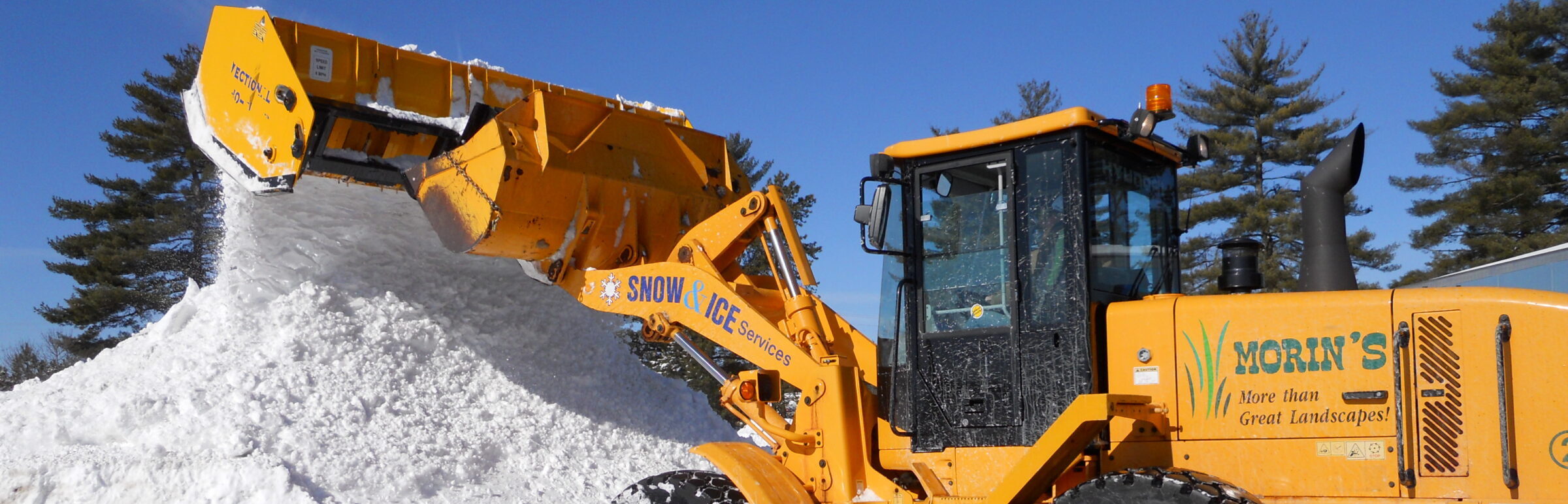 A yellow snow removal vehicle pushes snow into a large pile. Trees are visible in the background under a clear blue sky.