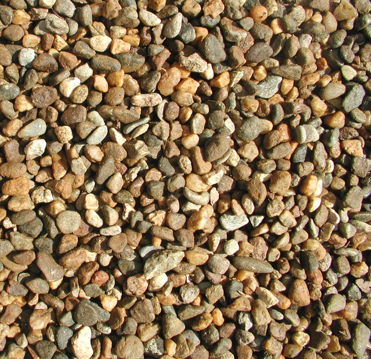 A collection of small, multicolored pebbles arranged over a flat surface, showcasing a variety of natural stone textures and shades.