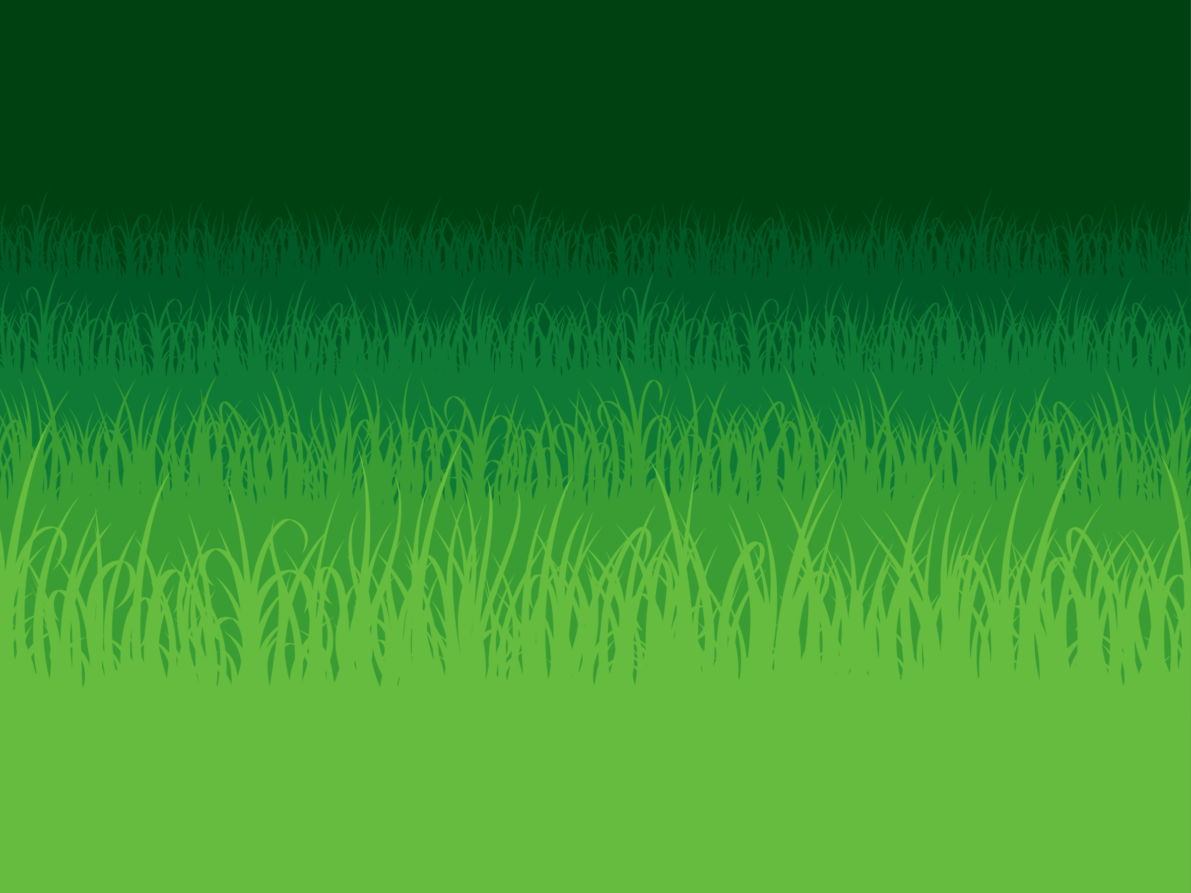 A person stands in tall green grass, wearing a black robe and holding a book, against a softly blurred green background.