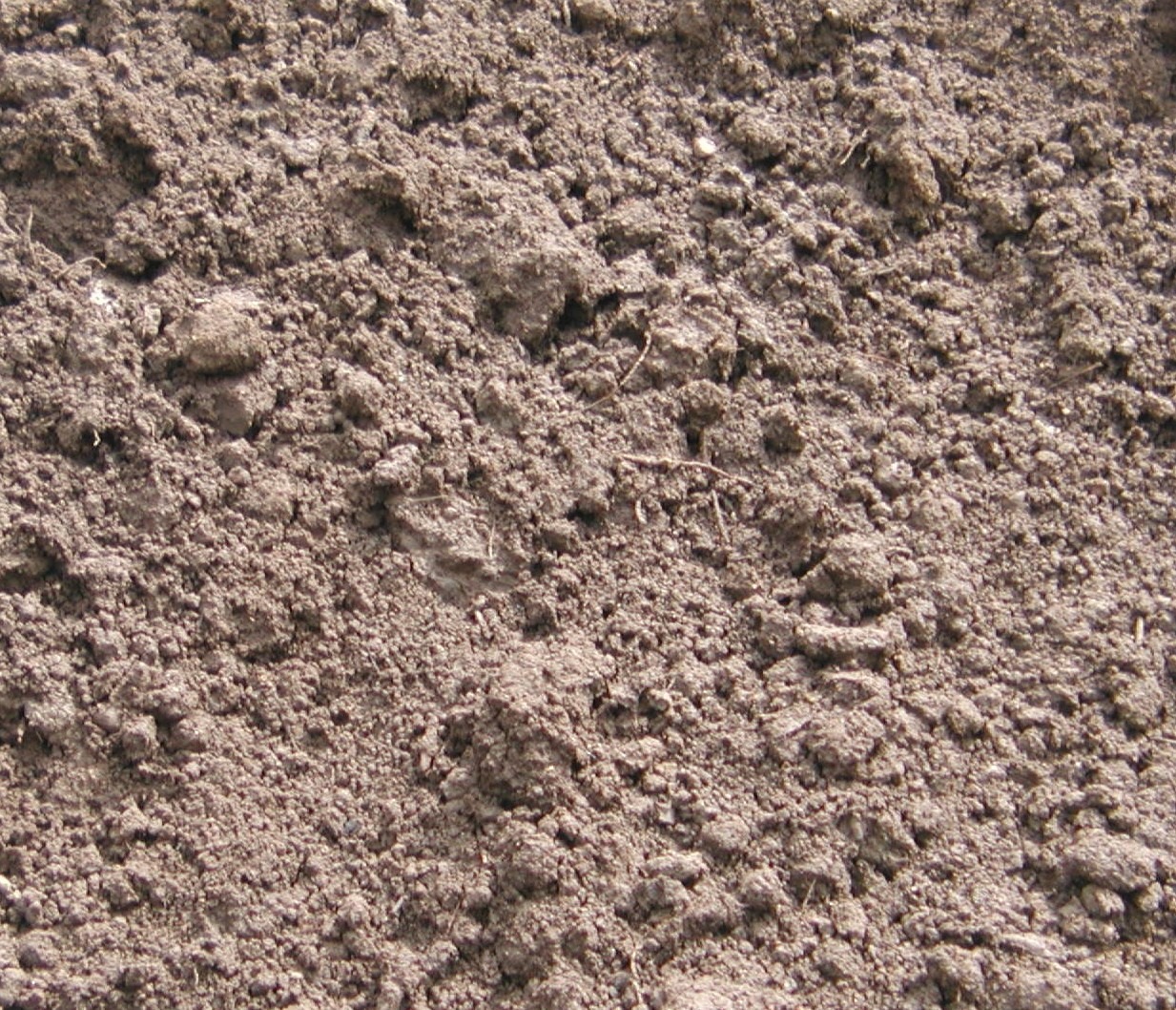 A close-up of loose, brown soil with small clumps and textures. The image shows varying shades and particle sizes, indicating rich earth.