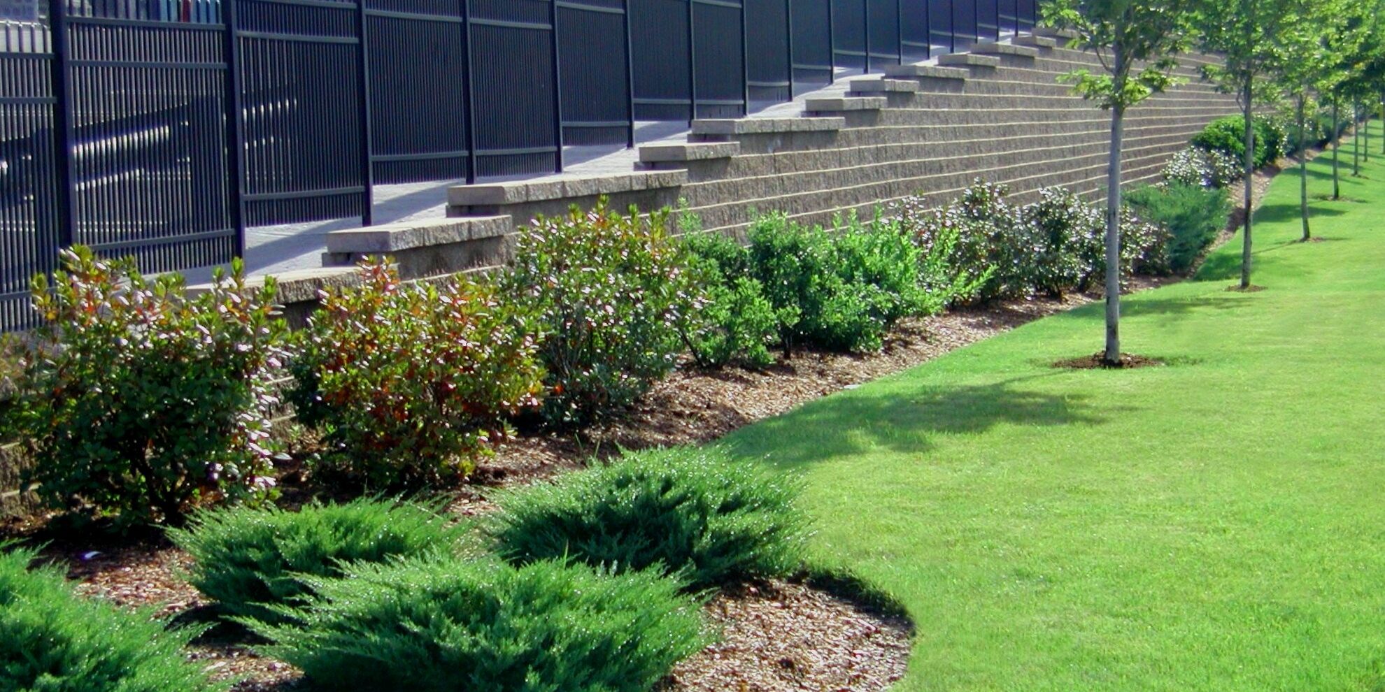 Stadium seating with metal railings beside landscaped greenery, including shrubs and small trees, next to a well-maintained grassy area.