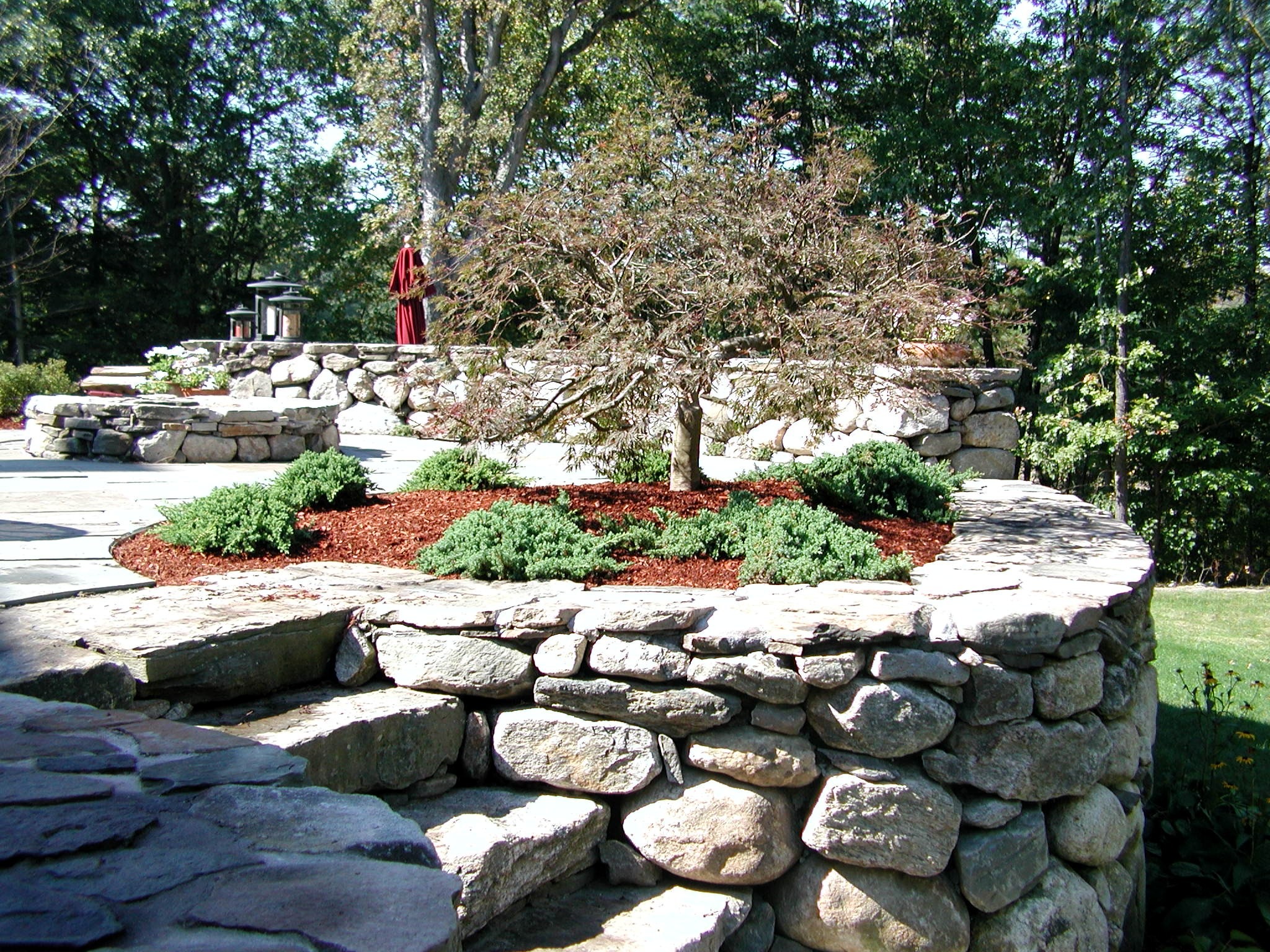 Terraced stone garden with a central tree, surrounded by greenery. A person in red stands nearby. Trees form the natural backdrop.