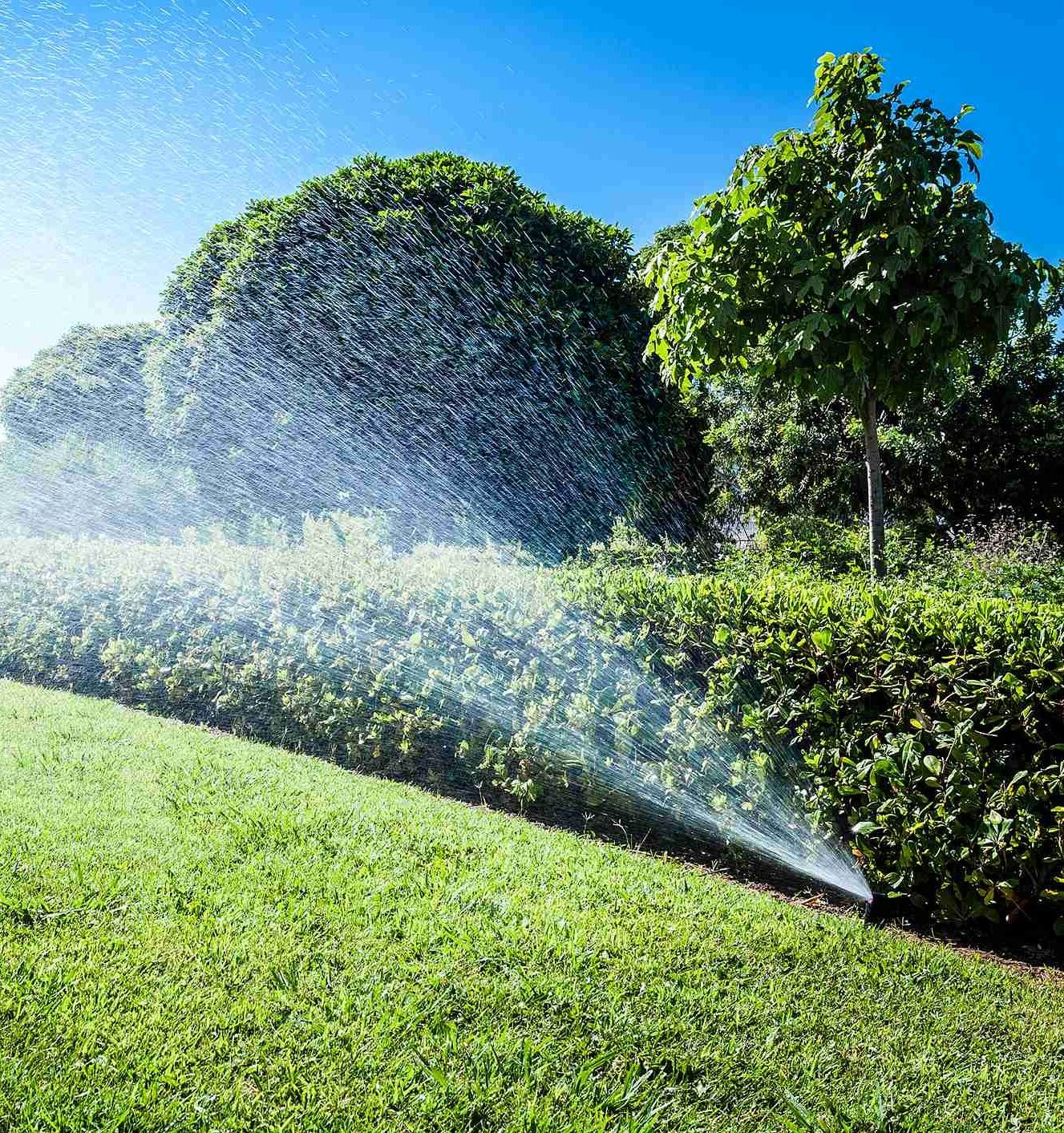 A sunny garden scene with sprinklers watering green grass and neatly trimmed hedges, surrounded by lush trees under a clear blue sky.