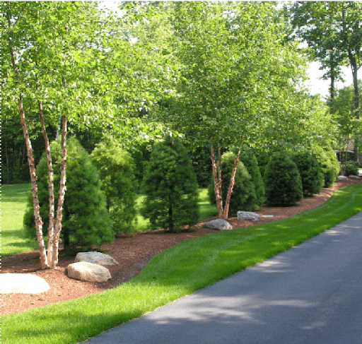 CondoInstallWalkway